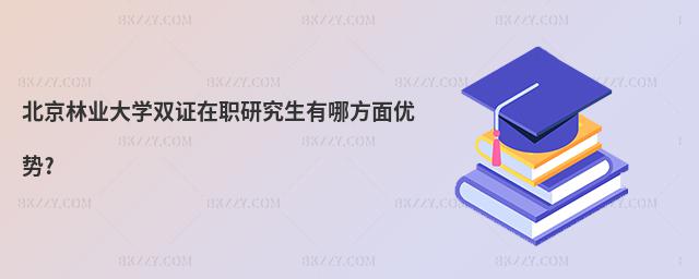 北京林業大學雙證在職研究生有哪方面優勢?