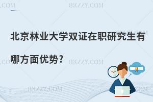 北京林業(yè)大學(xué)雙證在職研究生有哪方面優(yōu)勢(shì)?