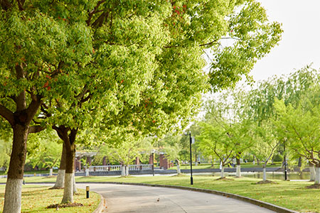 xɽ|W(xu)оҪꮅI(y)͘I(y)ǰΣ