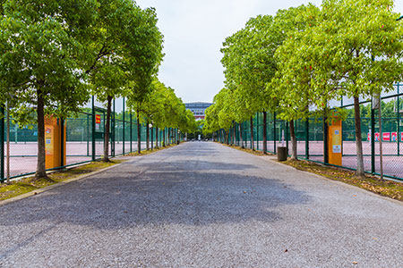 ڼgWоcȫƅ^eJɶôӣ