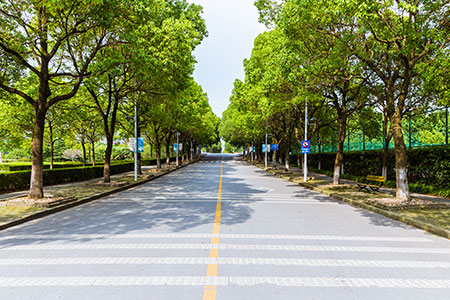 ���x�����t�WԺ��Ӣ���m�WԺ�о��������Ў����ᣬ�n������Щ��ɫ��