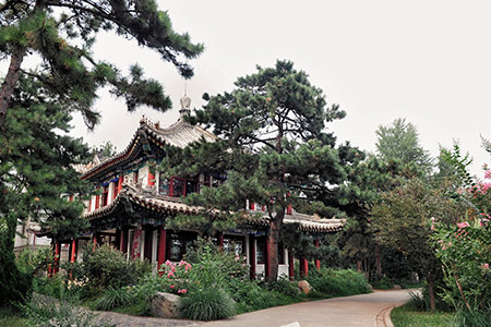 WkWTʿЩIֵÈ󿼆